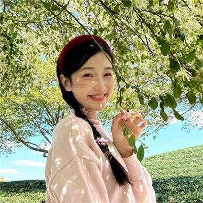 石纪元第一季